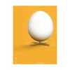  Egg Classic Poster Without Frame 50 X70 Cm Yellow Background