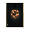  Pine Cone Classic Poster Brass Frame 70 X100 Cm Black Background