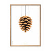  Pine Cone Classic Poster Frame Made Of Light Wood 50x70 Cm White Background