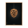  Pine Cone Classic Poster Frame Made Of Light Wood 70x100 Cm Black Background