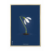  Snowdrop Classic Poster Brass Frame 30x40 Cm Dark Blue Background