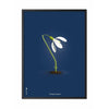  Snowdrop Classic Poster Frame In Black Lacquered Wood 30x40 Cm Dark Blue Background