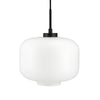  Arp Pendant D30 Black