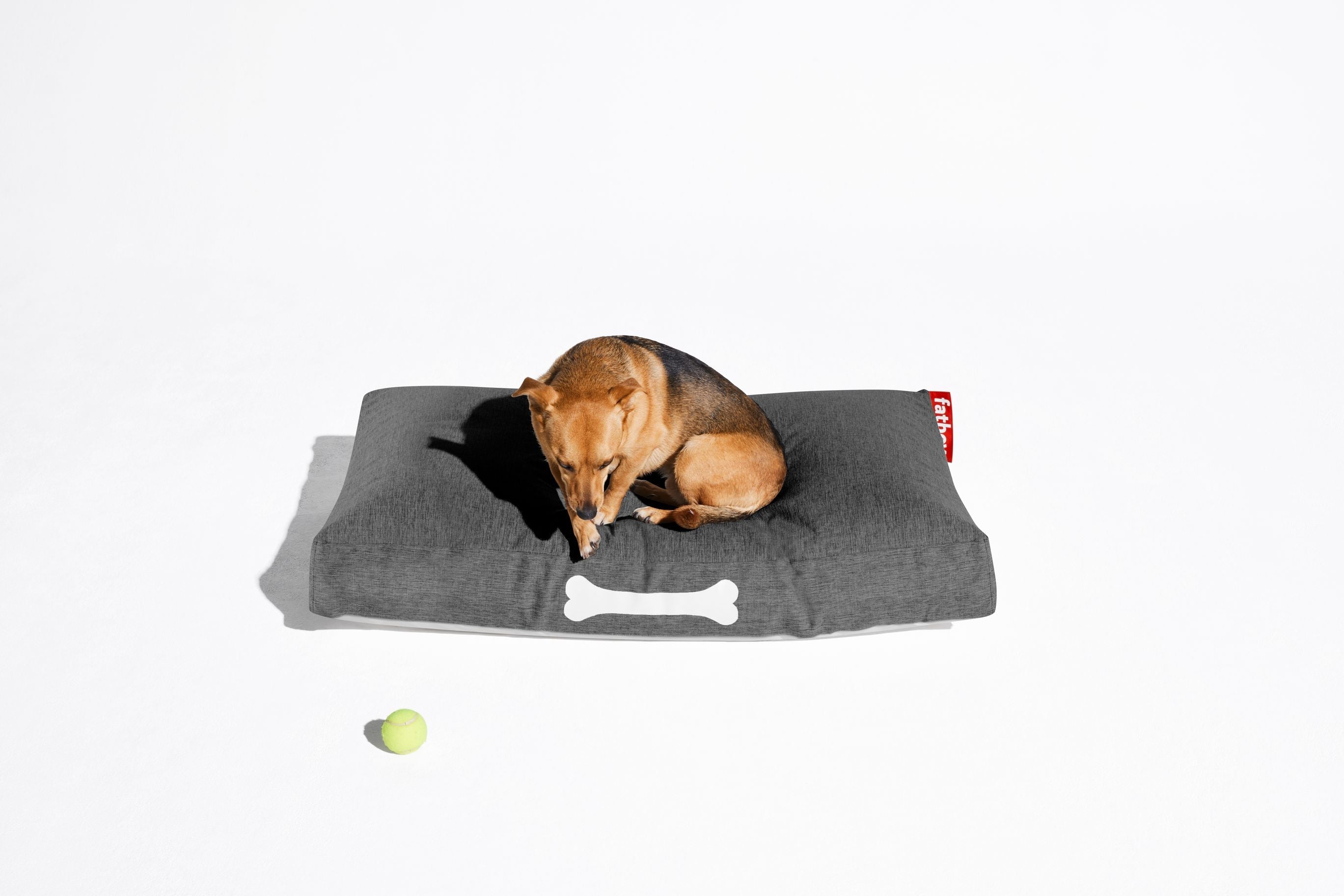 [product_category]-Fatboy Doggielounge Olefin Dogbed Small, Rock Grey-Fatboy-8719773058188-106168-FAT-5