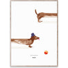 Paper Collective Doug The Dachshund Poster, 50x70 Cm