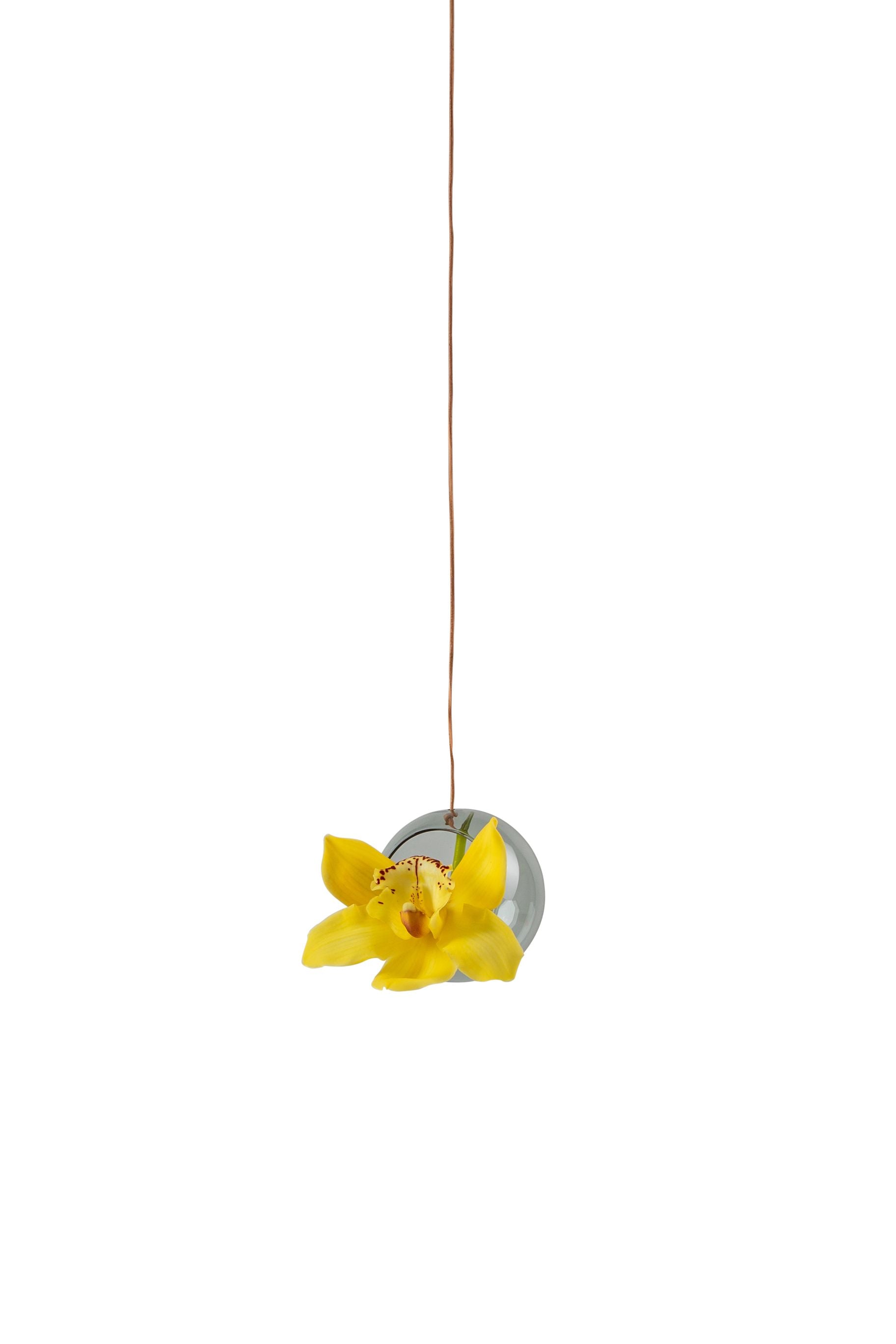 [product_category]-Studio About Hanging Plant Bubble Vase Small, Smoke-Studio About-5714356001028-8055S-STU-2