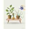  Growing Plants Poster 30 X40 Cm