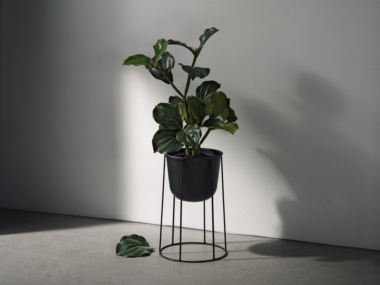 Audo Copenhagen Wire Base Large,Black